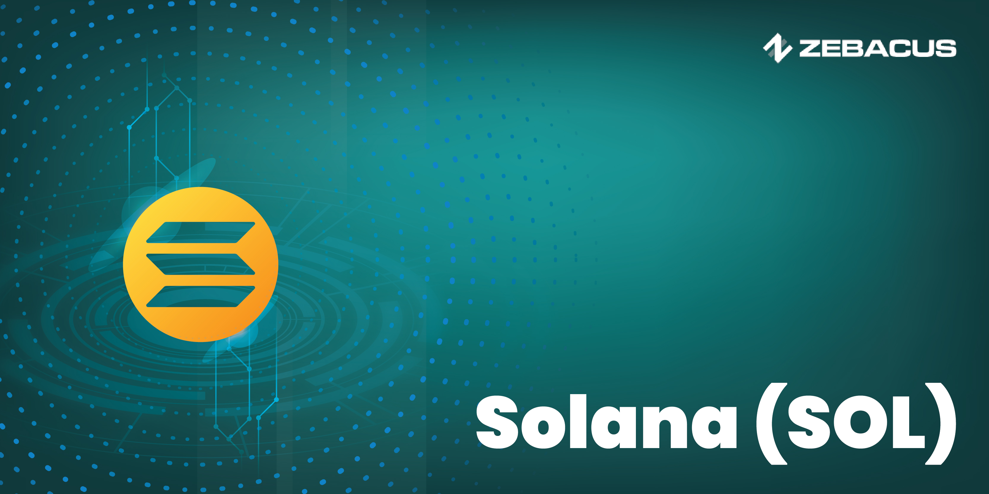 What is Solana (SOL)